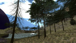 Sara Donhildi Adventures - Forest